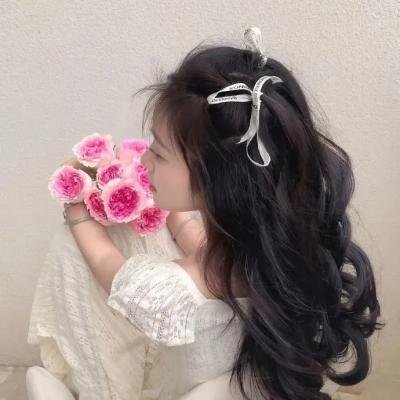 求职记 封面