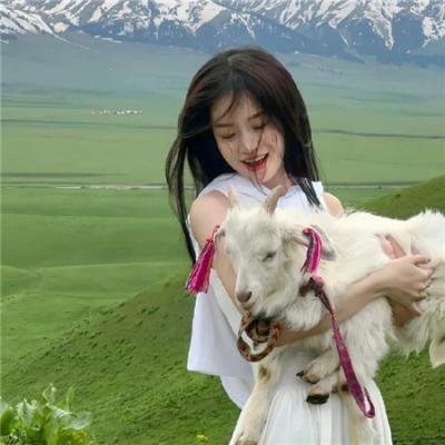 狂欢三宝 封面