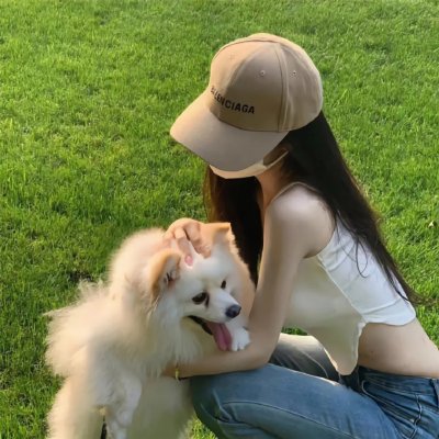 救森动物联盟 封面